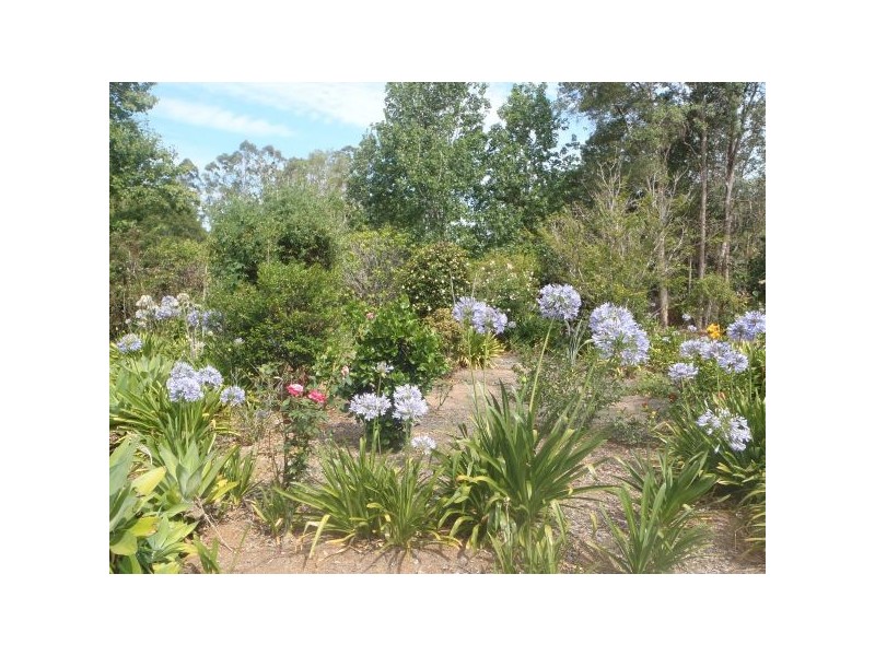 Mooloolah Valley QLD 4553