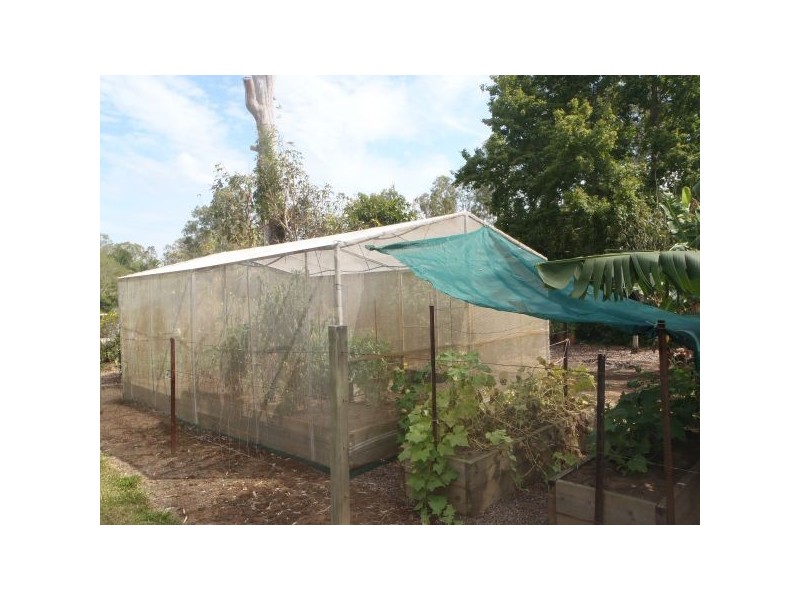 Mooloolah Valley QLD 4553