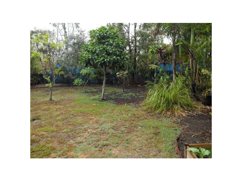 Sippy Downs QLD 4556