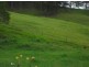 30a Country Road, Palmwoods QLD 4555