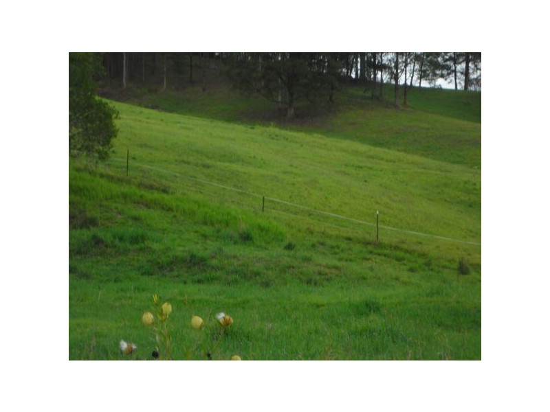 30a Country Road, Palmwoods QLD 4555