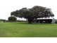 Bucasia QLD 4750