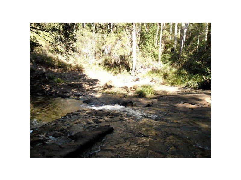 Beerwah QLD 4519