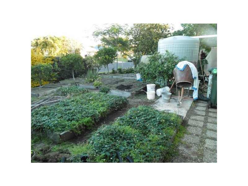 1 Wellman Crescent, Sippy Downs QLD 4556