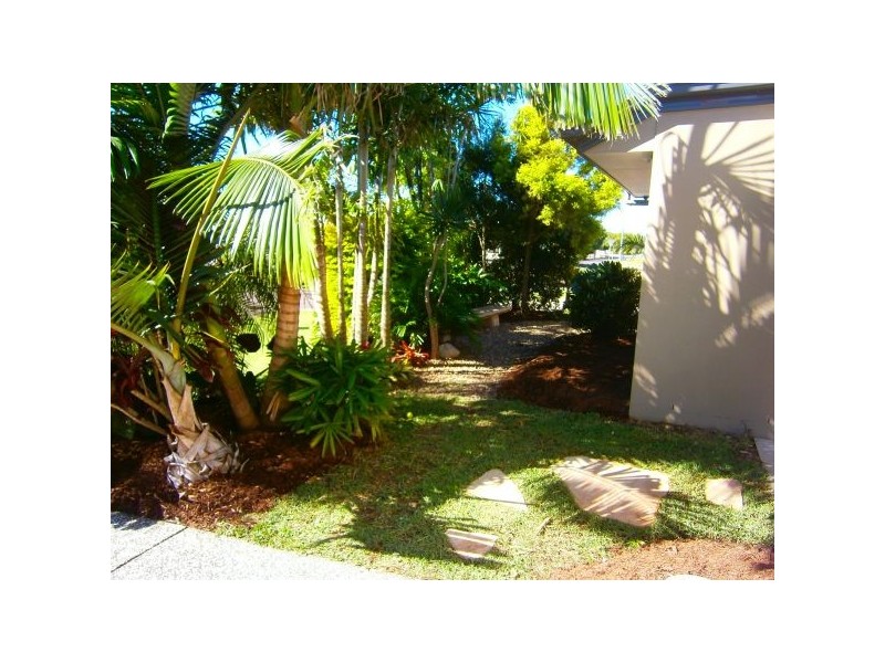 36 Latimer Crescent, Sippy Downs QLD 4556