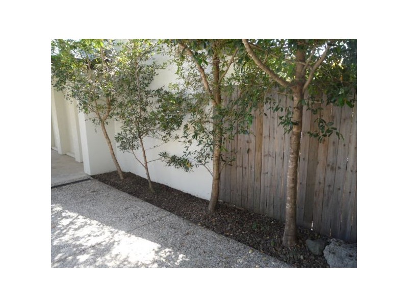 15 Eaton St, Sippy Downs QLD 4556