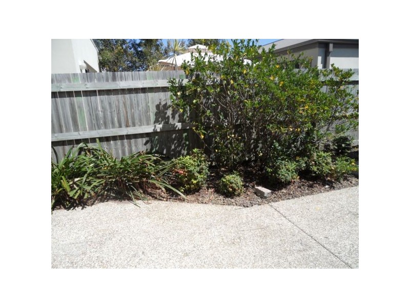 15 Eaton St, Sippy Downs QLD 4556