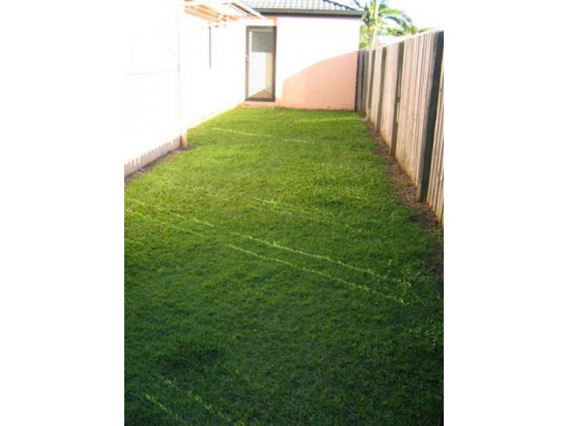 37 Bernheid Crescent, Sippy Downs QLD 4556