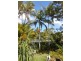 1 Boden Street, Bucasia QLD 4750