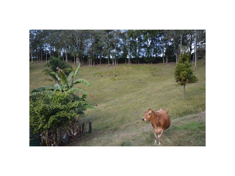 33 Panorama Drive, Nambour QLD 4560