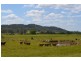 Belli Park QLD 4562
