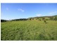 Belli Park QLD 4562