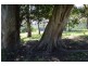 Belli Park QLD 4562