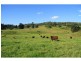 Belli Park QLD 4562