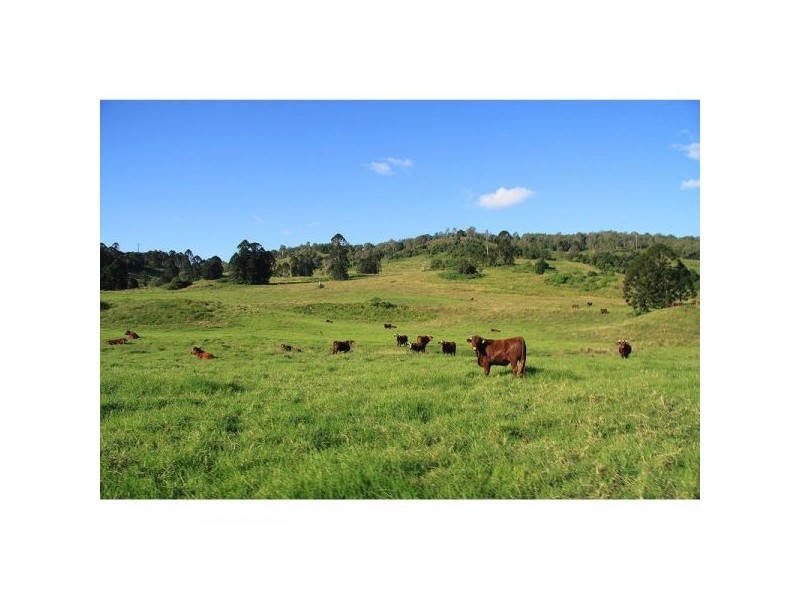 Belli Park QLD 4562