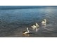 Belli Park QLD 4562