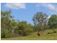 Belli Park QLD 4562