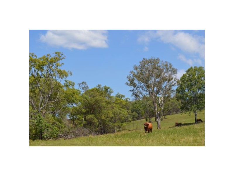 Belli Park QLD 4562