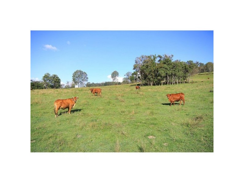 Belli Park QLD 4562