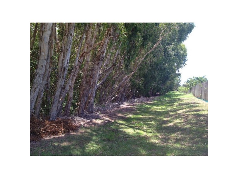 23 Dolphin Drive, Bucasia QLD 4750