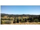 Belli Park QLD 4562