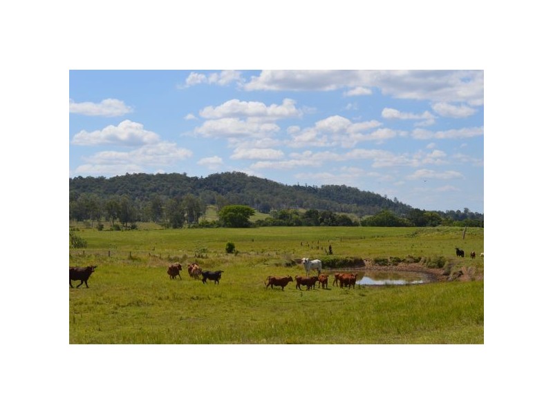 Belli Park QLD 4562