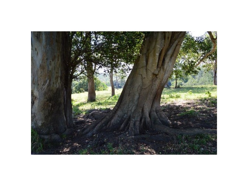 Belli Park QLD 4562