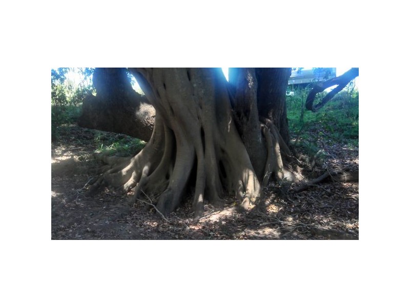 Belli Park QLD 4562