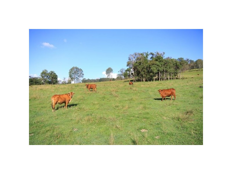 Belli Park QLD 4562