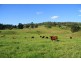 Belli Park QLD 4562