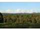 Belli Park QLD 4562