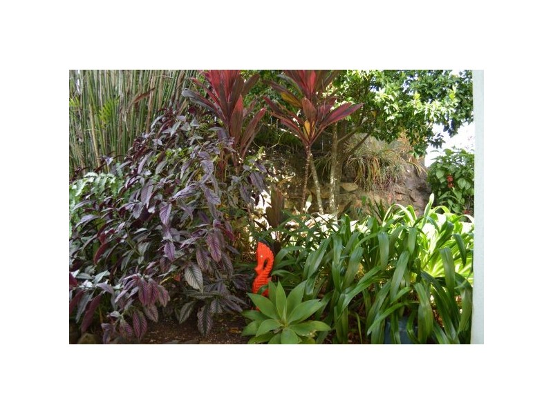 1/2 Ure Ct, Buderim QLD 4556