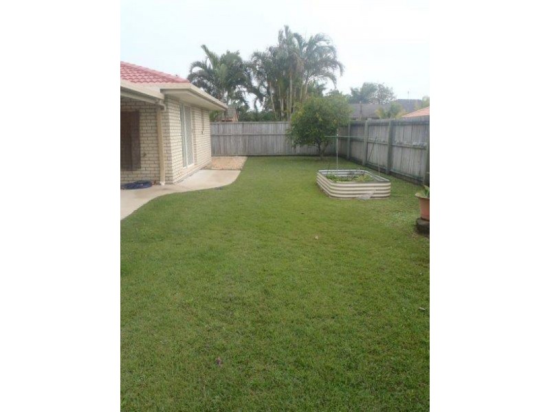 15 Lacewing Drive, Sippy Downs QLD 4556