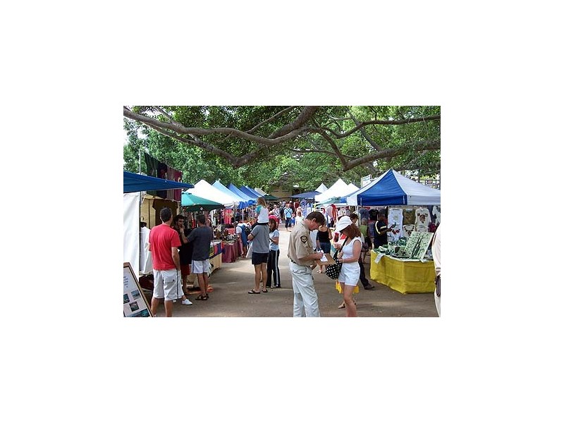 Burrell Estate Burrell Avenue, Eumundi QLD 4562