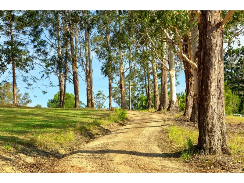 1485 Cooroy Belli Creek Road, Ridgewood QLD 4563