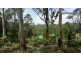 314 Old Ceylon Road, Ridgewood QLD 4563