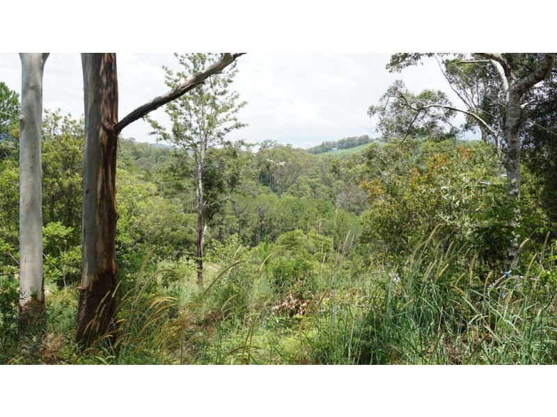 314 Old Ceylon Road, Ridgewood QLD 4563