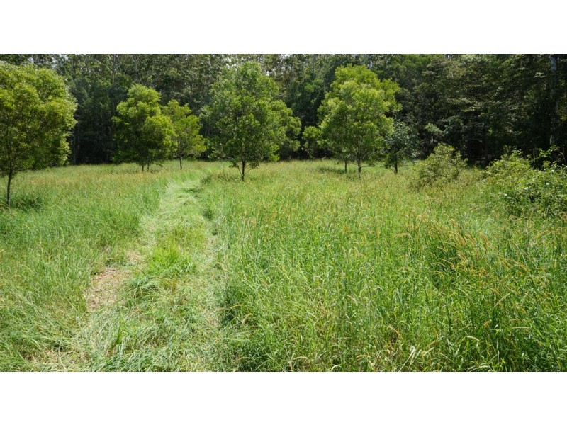 314 Old Ceylon Road, Ridgewood QLD 4563