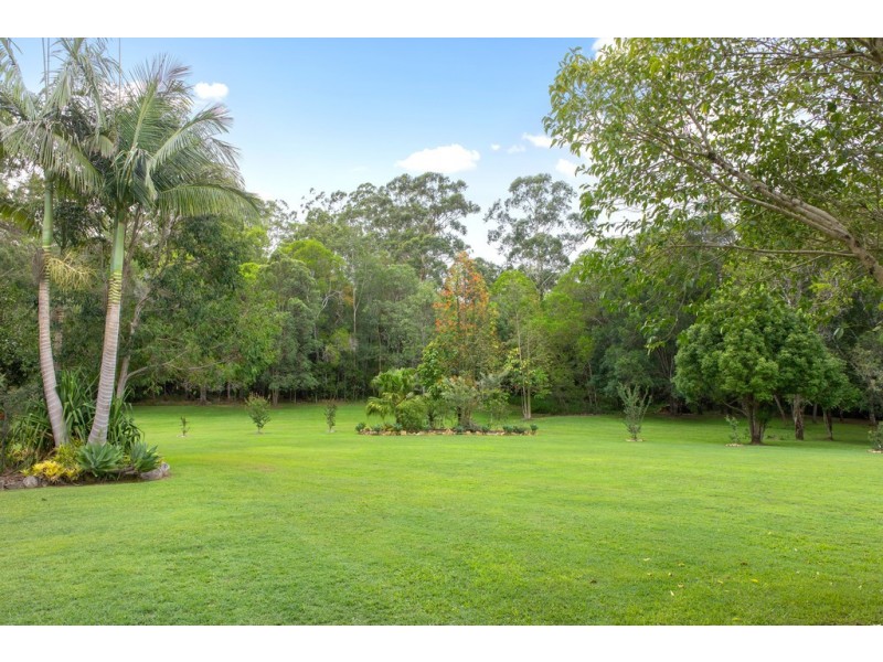 10 Flooded Gum Place, Black Mountain QLD 4563