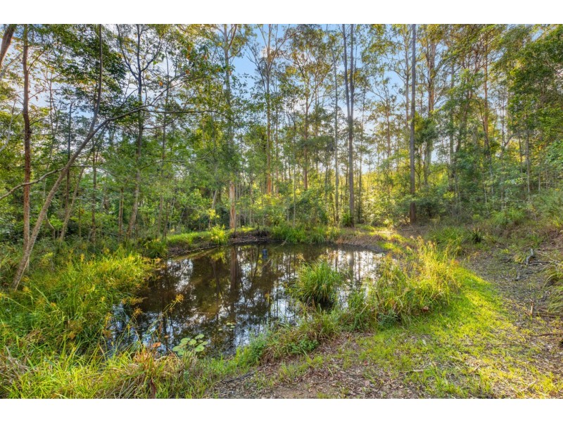 55 Kamala Drive, Lake Macdonald QLD 4563