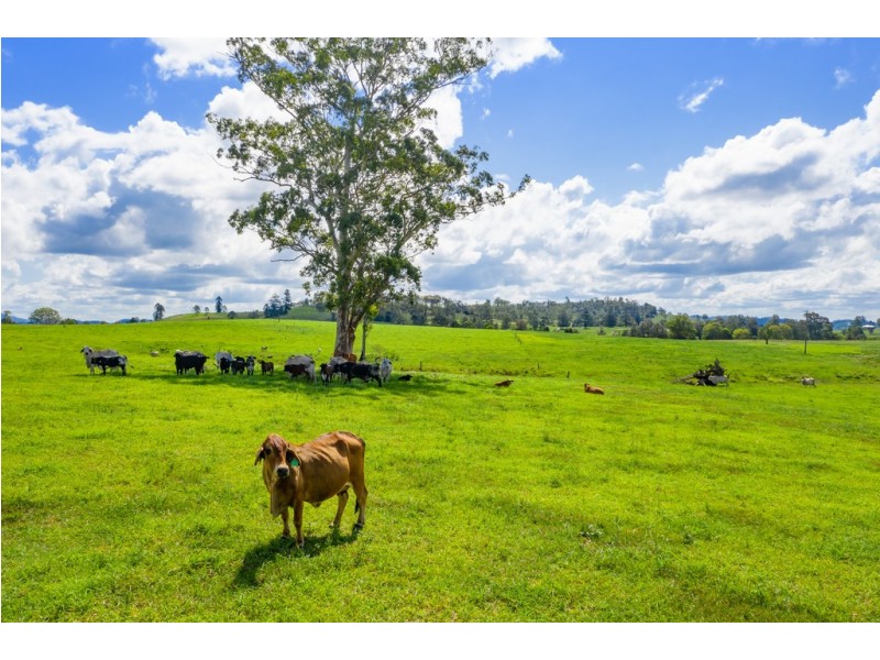 Lot 8-9, 1023 Kenilworth Skyring Creek Road, Carters Ridge QLD 4563