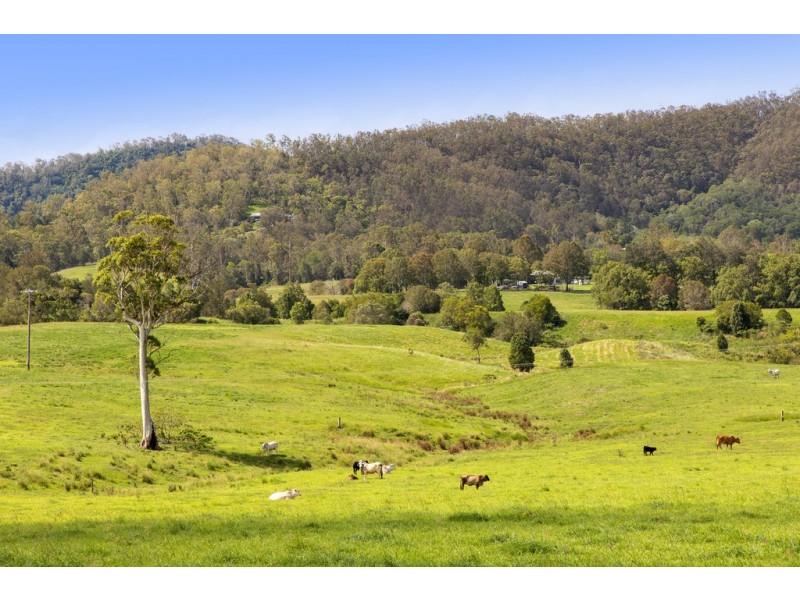 Lot 8-9, 1023 Kenilworth Skyring Creek Road, Carters Ridge QLD 4563