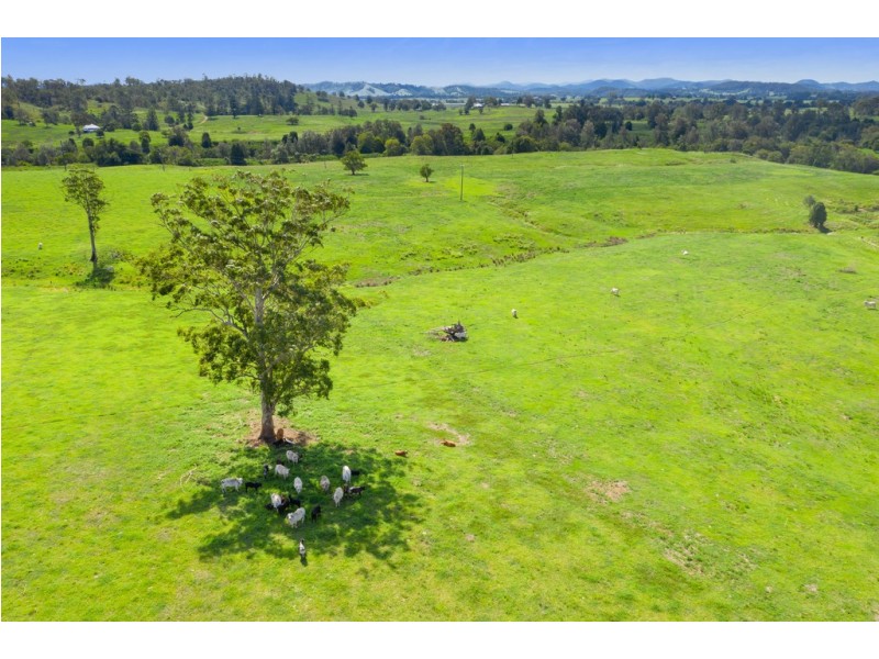 Lot 8-9, 1023 Kenilworth Skyring Creek Road, Carters Ridge QLD 4563