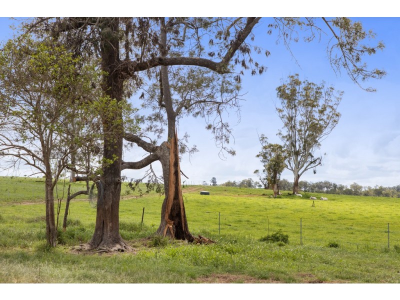 Lot 8-9, 1023 Kenilworth Skyring Creek Road, Carters Ridge QLD 4563