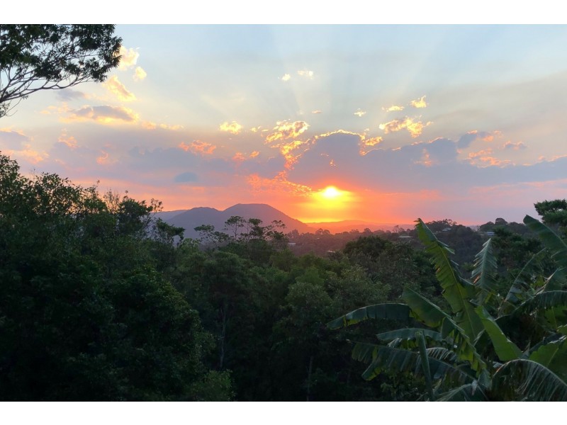Eumundi QLD 4562