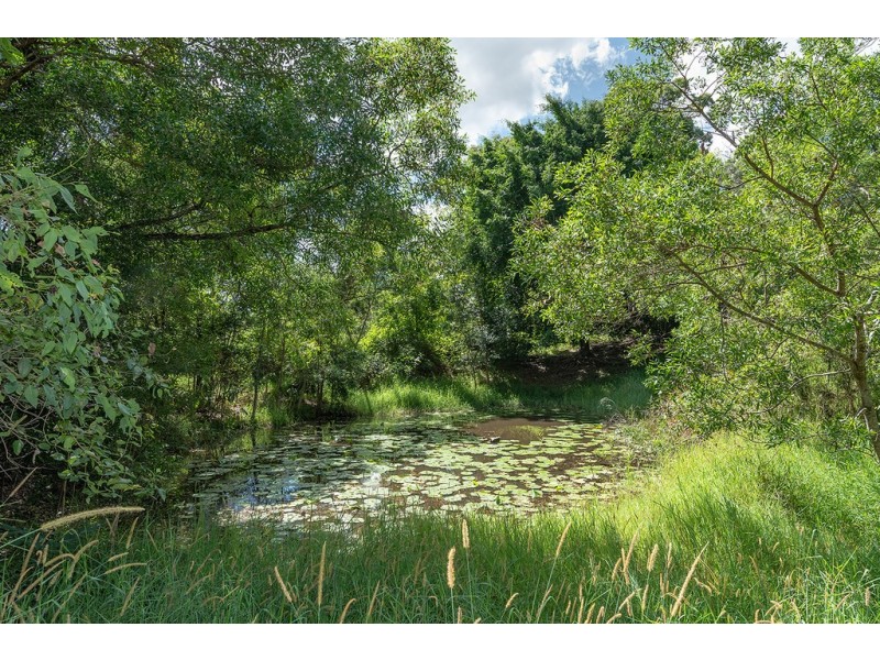 12 Langfeldt Road, Belli Park QLD 4562