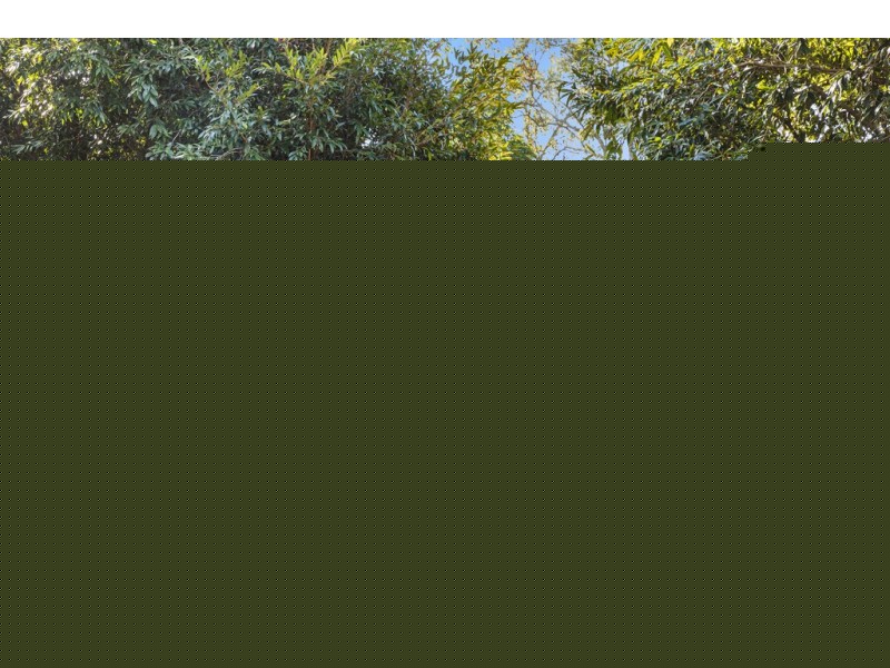 16 Forest Acres Drive, Lake Macdonald QLD 4563