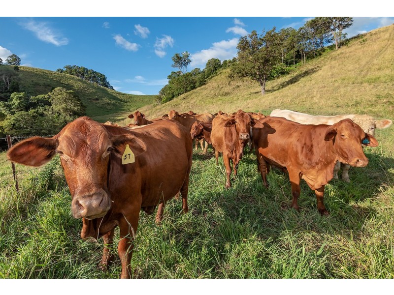 64 Leggetts Loop, Kin Kin QLD 4571