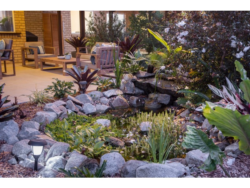 55 Highfield Rise, Pomona QLD 4568