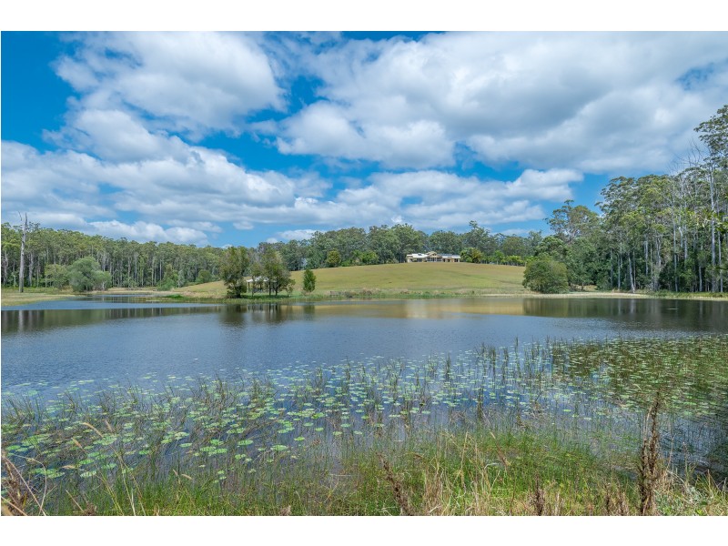 143 Davis Road, Cootharaba QLD 4565